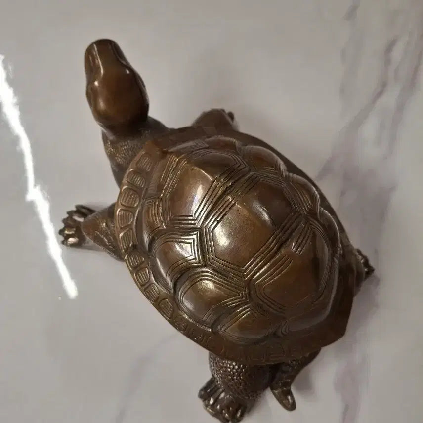 [BUNJANG] Turtle Bronze Sculpture / 거북이 동