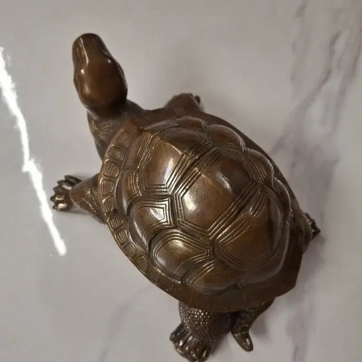 [BUNJANG] Turtle Bronze Sculpture / 거북이 동
