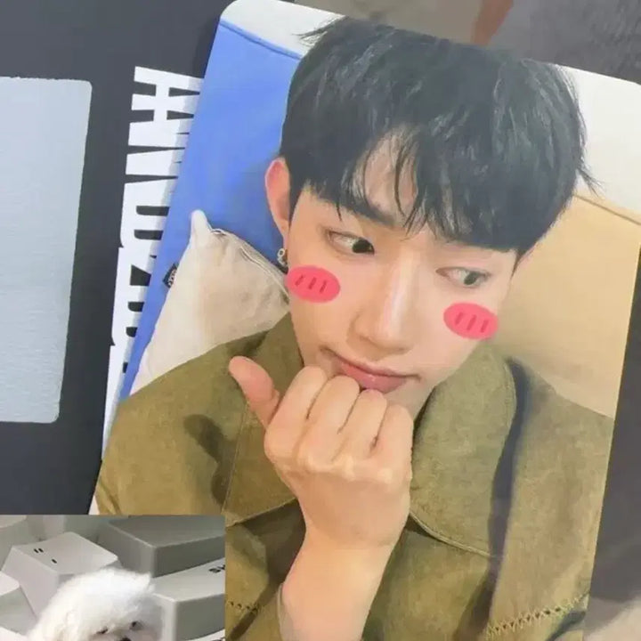 [BUNJANG] ZB1 Zhang Hao Studio Photocard / 장하오 공방카드