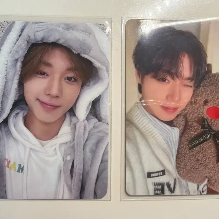 [BUNJANG] Park Jihoon Mamute Special POB Opening Fanmeeting Bangkok Photocard / 박지훈 마뮤테 특전 오프닝 팬미팅 방콕 포카 양도 판매