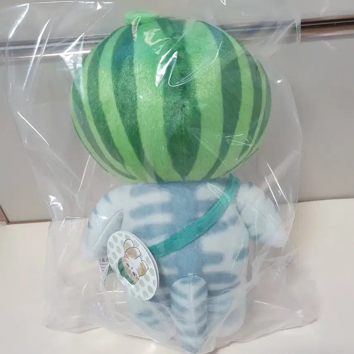 [BUNJANG] Mohu Sand Cat Fruit Costume Watermelon Plush Toy / 모후샌드 고양이 과일코스튬 수박
