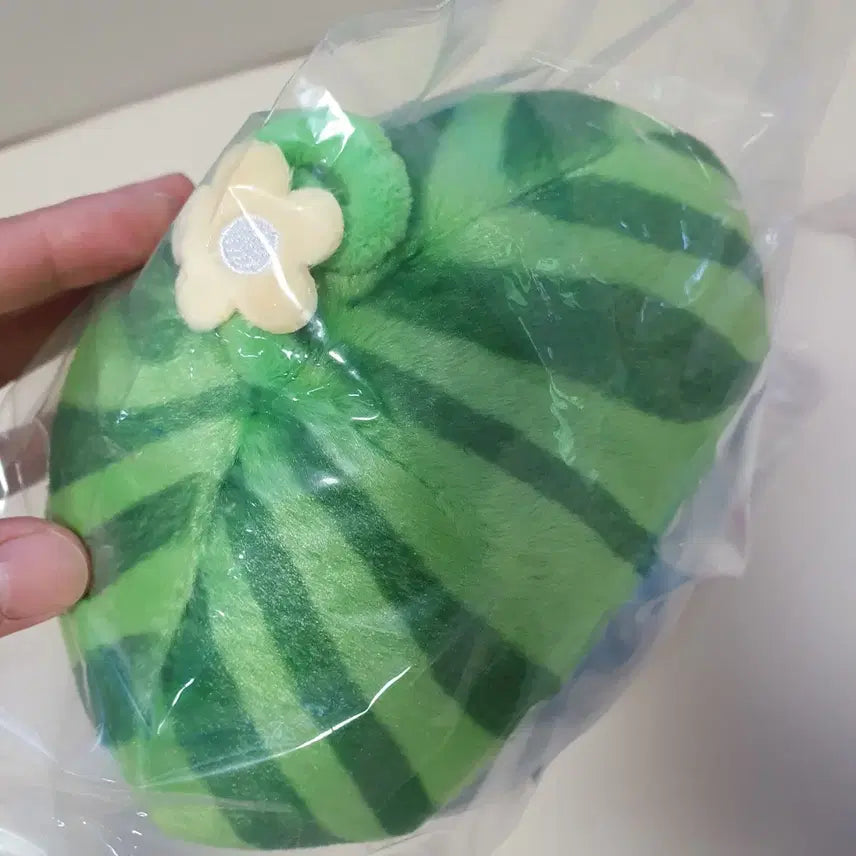[BUNJANG] Mohu Sand Cat Fruit Costume Watermelon Plush Toy / 모후샌드 고양이 과일코스튬 수박