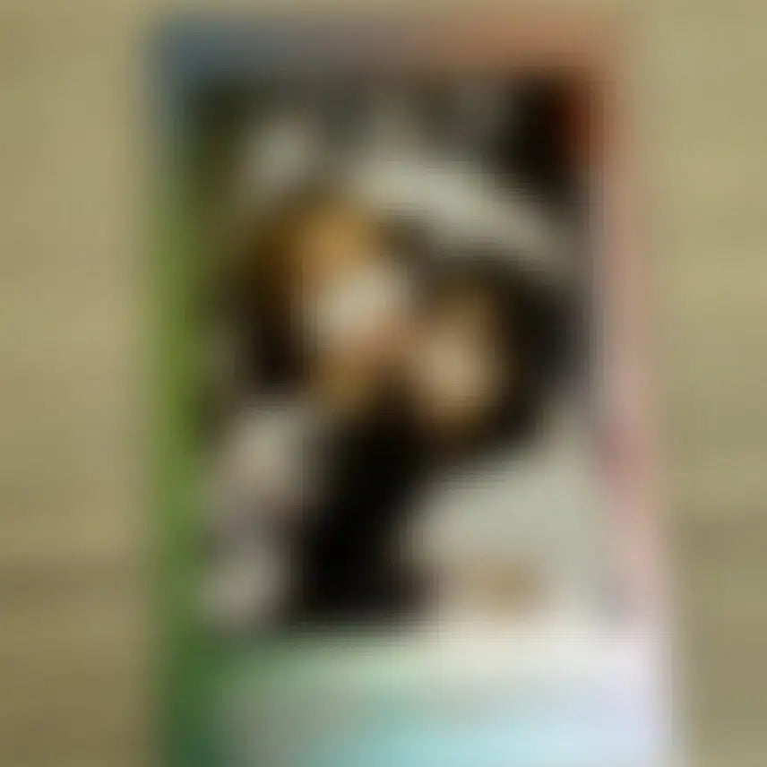 [BUNJANG] QWER Chienta Signed Polaroids (Unit) / QWER 젠타 시연 유닛 싸인폴라 판매합니다.(눈참)