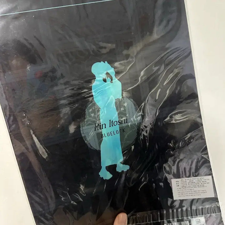[BUNJANG] Blue Lock Itoshi Rin File / 블루록 이토시린 파일