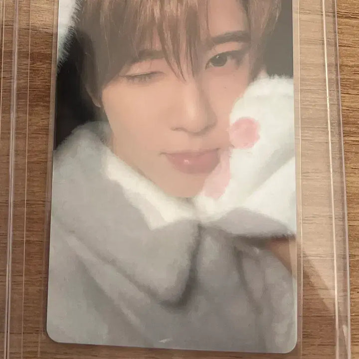 [BUNJANG] NCT WISH Sion Photocard / 멜론 뮤직웨이브 NCTWISH 시온포카
