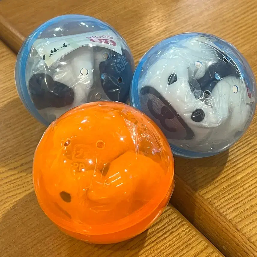 [BUNJANG] Nagano Joking Bear Face Pouch Gacha / 나가노 농담곰 페이스 복조리 파우치 가챠 퍼그