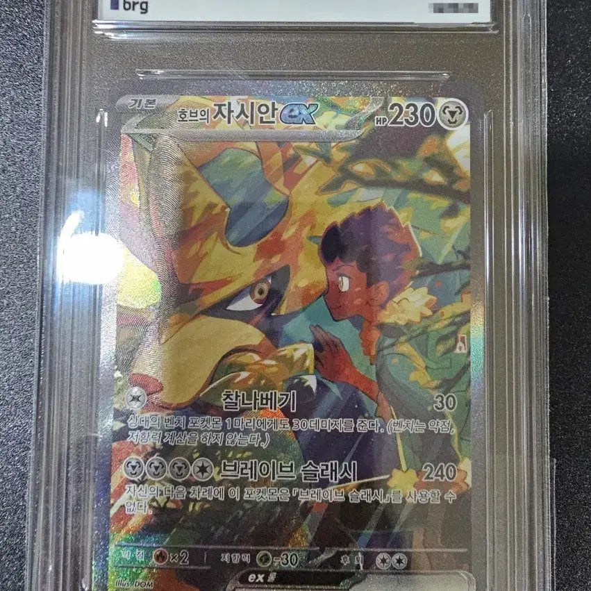 [BUNJANG] Pokemon Card Zacian VSTAR SAR BRG9 / [포켓몬스터]호브의자시안ex sar brg9