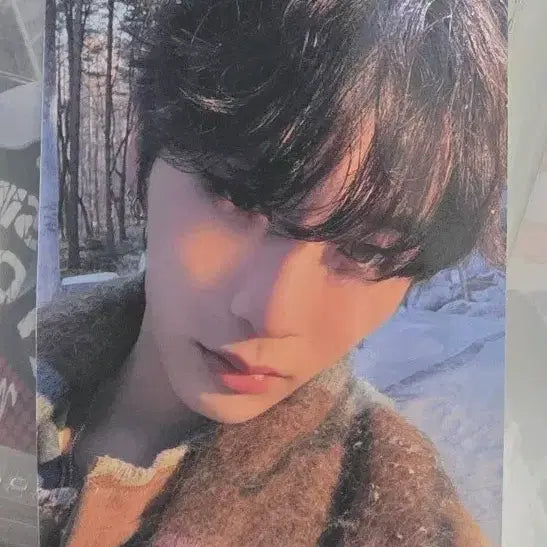 [BUNJANG] BOYNEXTDOOR Taesan Weverse Japan Lucky Draw Photocard / 보넥도 태산 위버스 재팬 럭드 포카 판매