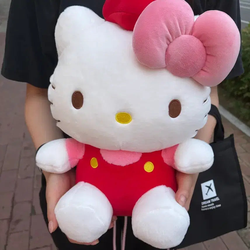 [BUNJANG] Sanrio Hello Kitty Medium-Large Plush Doll / 산리오 키티 중 대형 누이 구루미 봉제 인형