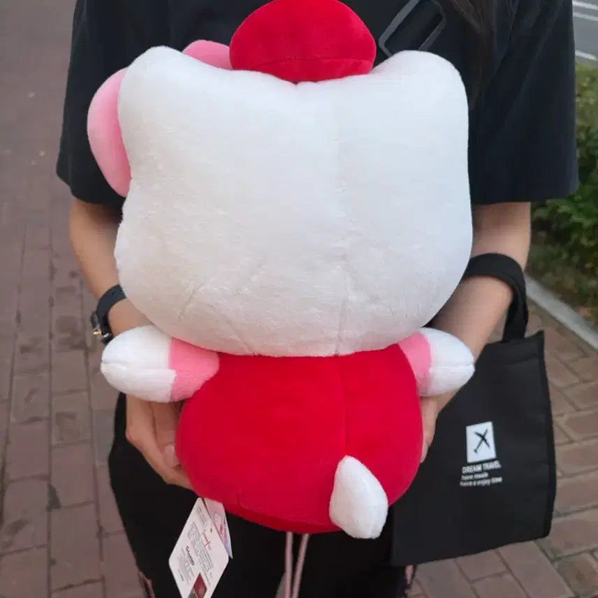 [BUNJANG] Sanrio Hello Kitty Medium-Large Plush Doll / 산리오 키티 중 대형 누이 구루미 봉제 인형
