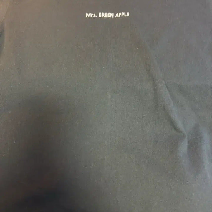 [BUNJANG] Green Apple Zenjin T-Shirt 2024 M / 그린애플 젠진 티셔츠 2024 M