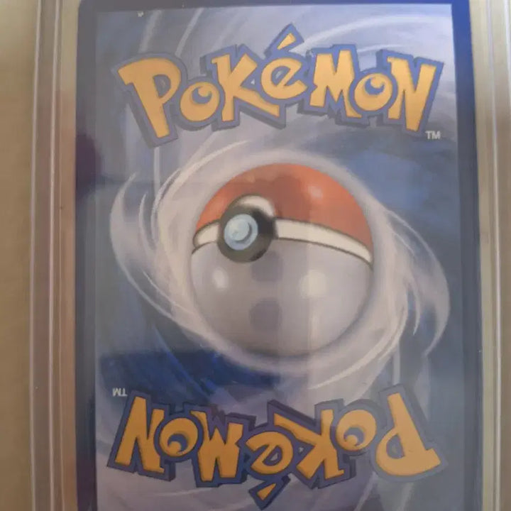 [BUNJANG] Pokemon Card Dewgong Illustration Rare / 포켓몬 카드 민화의 덩쿠리