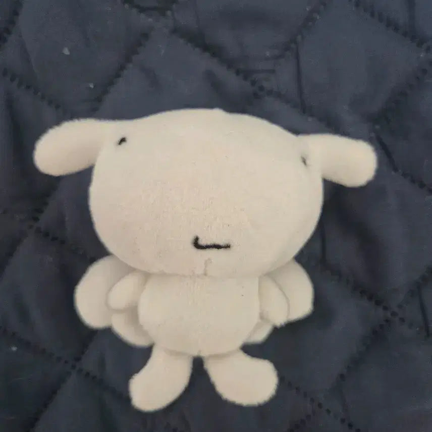 [BUNJANG] BOYNEXTDOOR Yunhak Haengwoona Doll / 보넥도 운학 행우나 인형