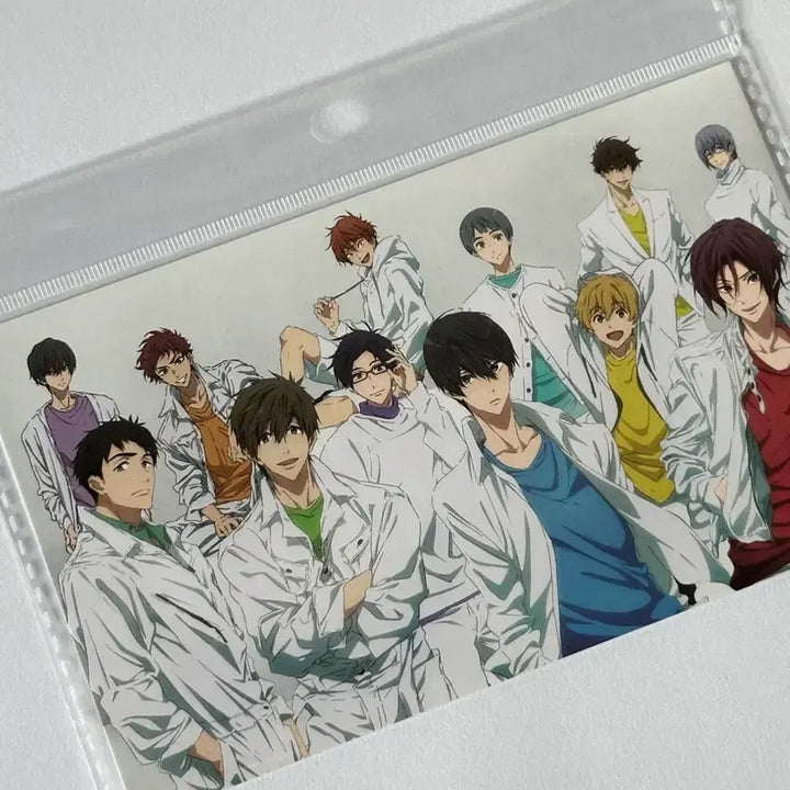 [BUNJANG] Free! Postcard / Free! 프리 엽서