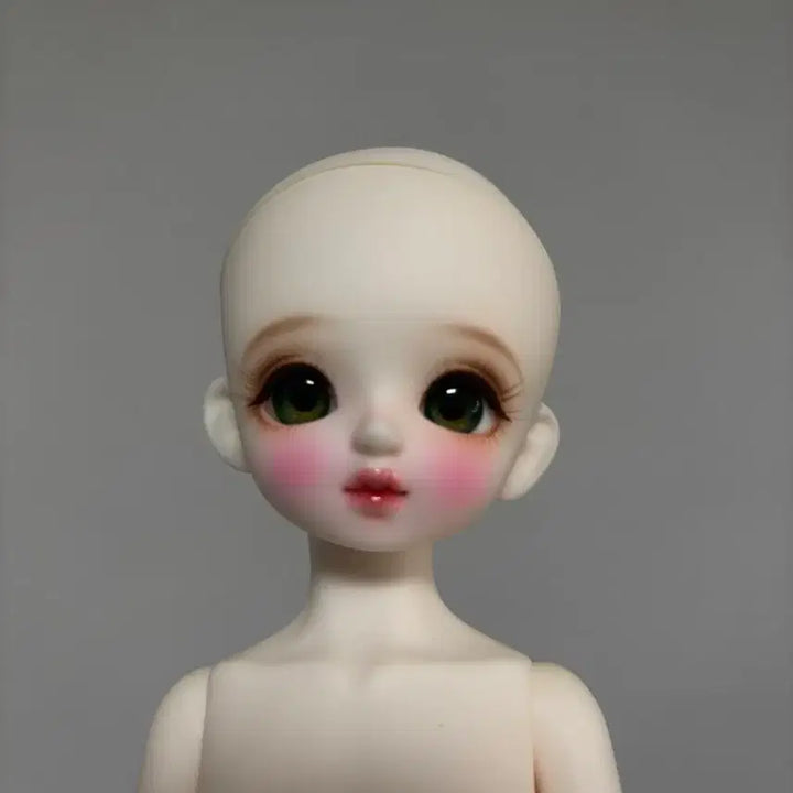 [BUNJANG] Chicabi Peko 31 Body MSD Ball-jointed Doll / [판매] 치카비 페코 미백 31바디 구관 구체관절인형 usd