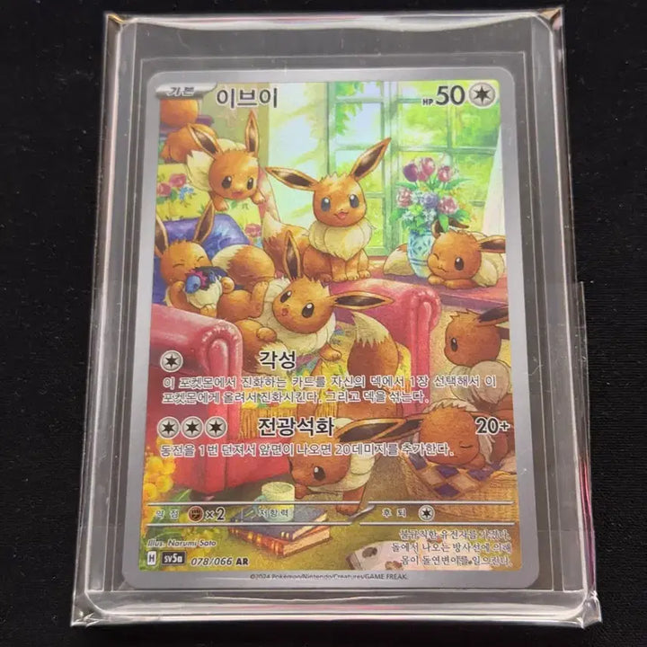 [BUNJANG] Pokemon Card Set / [AR] 이브이 포켓몬카드 등급용