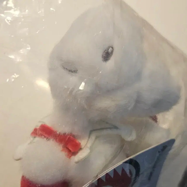 [BUNJANG] Pokemon Togetic Holiday Mascot Plush Charm / 포켓몬스터 토게틱 홀리데이 인형 토게키스 토게피 포켓몬 센터 마스코트
