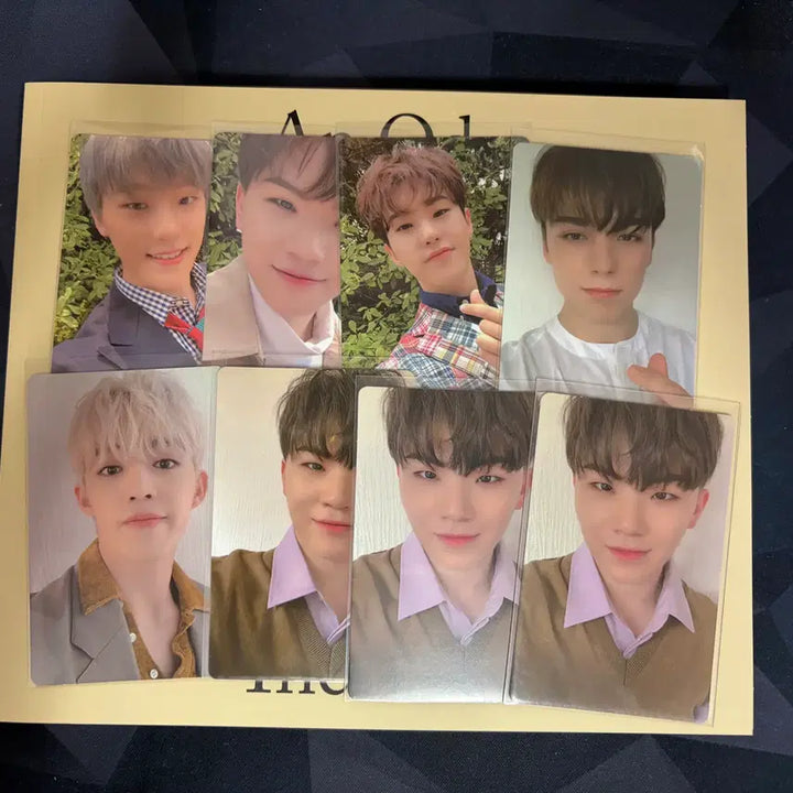 [BUNJANG] Seventeen Unofficial 8 Photocard Bundle Set The Poet Version / 탈덕처분) 세븐틴 언오드 독 앨범 The Poet 버전 양도(포카 8장)