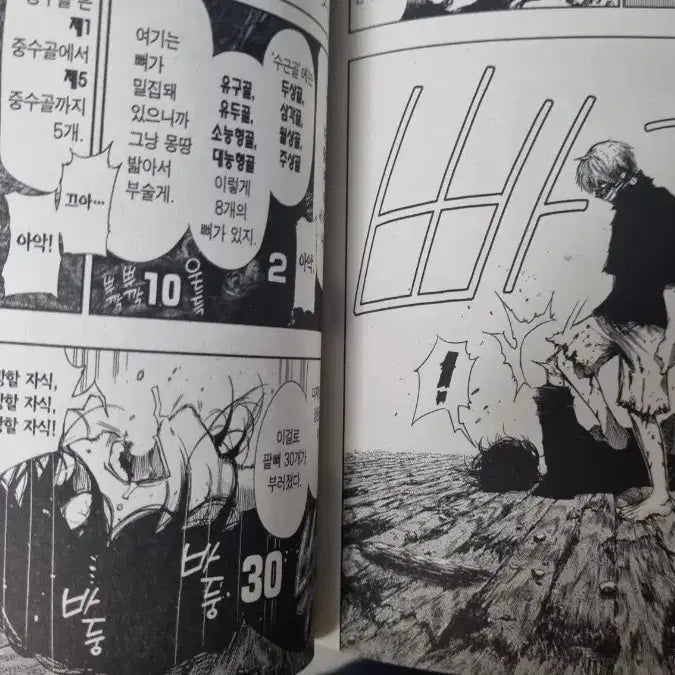 [BUNJANG] Tokyo Ghoul Vol. 8, Re: Volume 1, Re: Volume 6 Manga Set / 도쿄구울 만화책 8권 나눔
