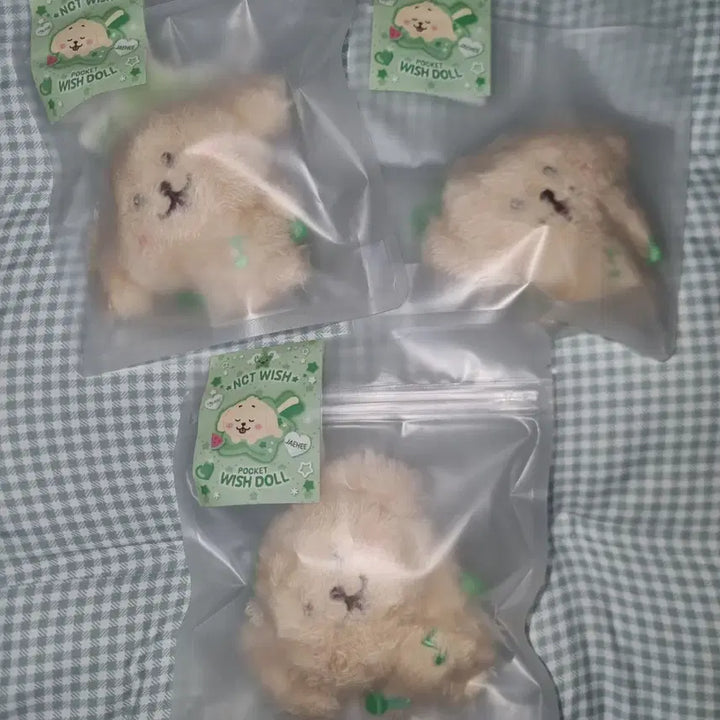 [BUNJANG] NCT WISH Pocket Wish Doll Daeng Treever Photocard Holder Sealed / 엔시티위시 포켓위시돌 댕트리버 미개봉