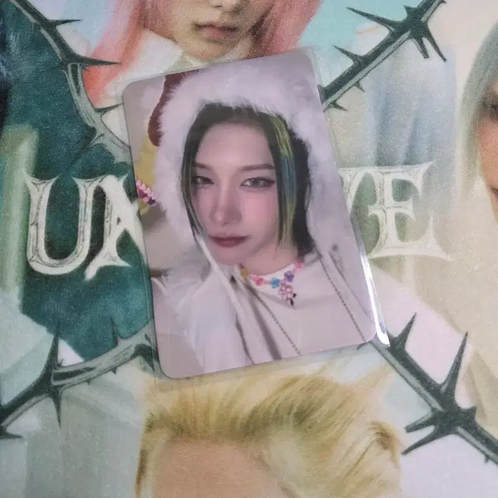 [BUNJANG] Xlov Rui Kitty.ver Photocard / Xlov 엑스러브 미공포 키티.ver 루이
