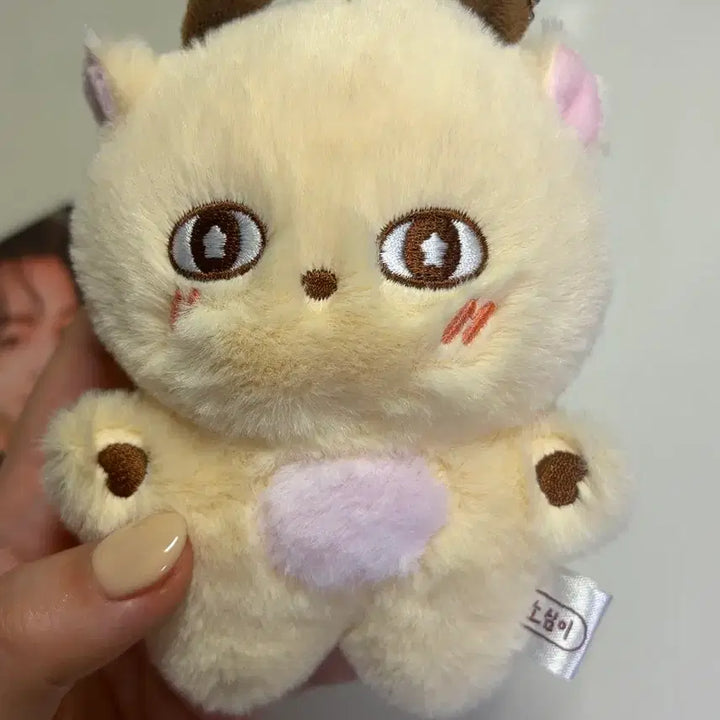 [BUNJANG] Park Ji-hoon Soshimi Doll (Photocard Included) / 박지훈 소심이 인형 (포카포함)