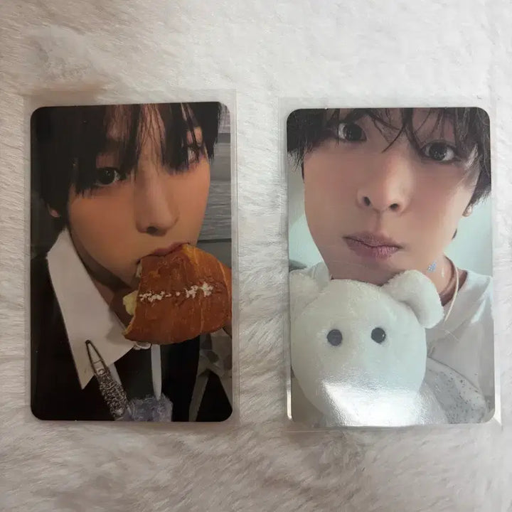 [BUNJANG] NCT WISH Steady Album Riku Photocard / 엔시티 위시 스테디 앨범 포카 리쿠