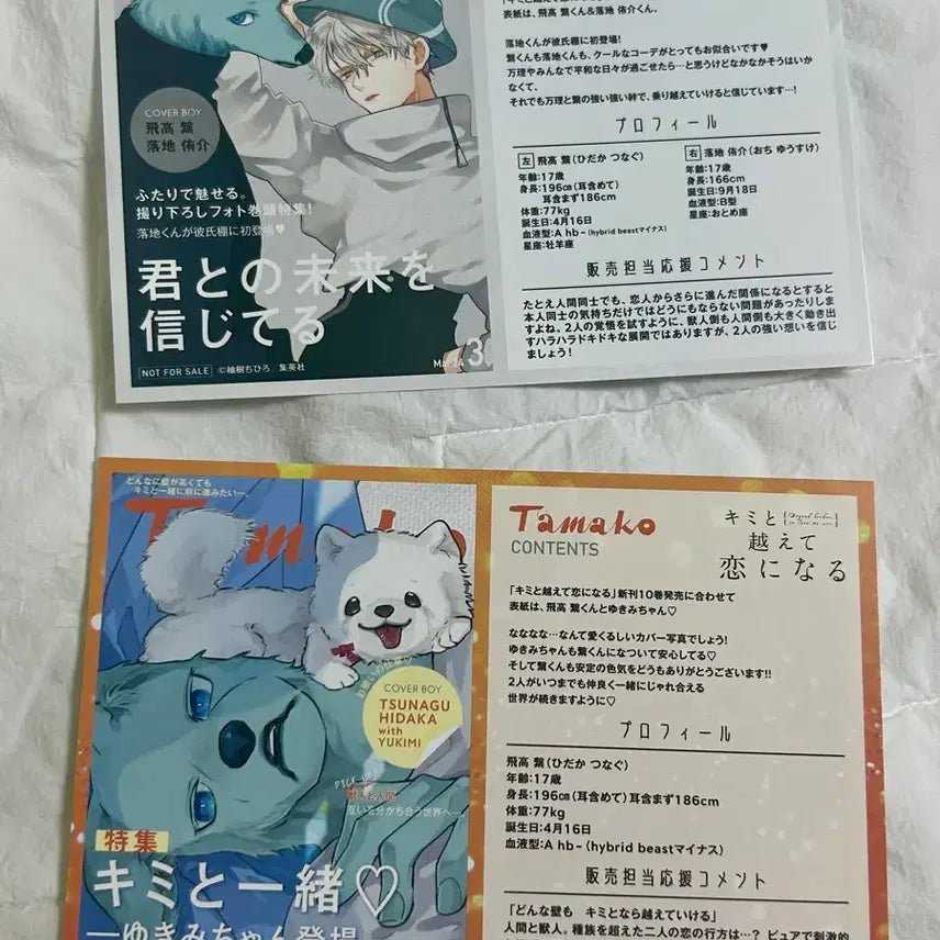 [BUNJANG] Your Story Becomes Love Tsutaya Exclusive Postcard Set (2 Types) Romance Manga / 너와 넘어 사랑이 된다 츠타야 특전 엽서 굿즈 2종 일괄 순정만화책