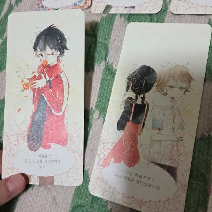 [BUNJANG] Kagerou Project Card Set / 카게프로 카게로우프로젝트 카드텍 비공굿 (가격내림x)