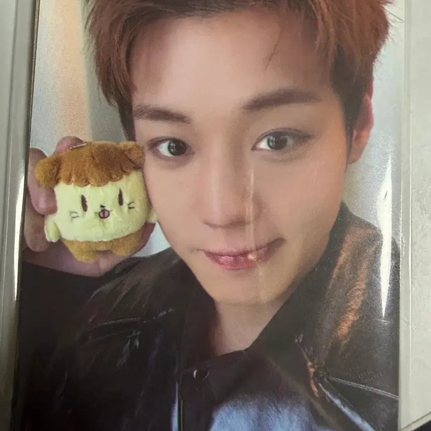 [BUNJANG] Park Ji Hoon Soshimi Ppooomi Photocard / 박지훈 소심이 팝업 뿌움이 포카