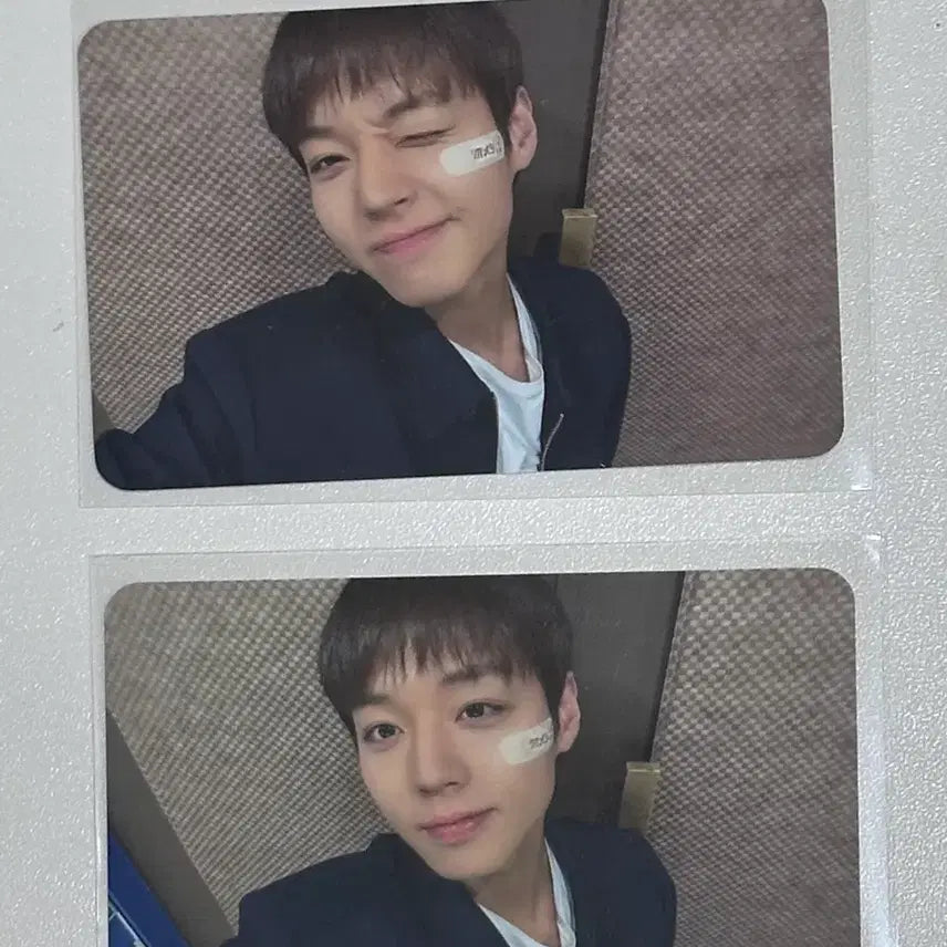 [BUNJANG] Park Ji Hoon Withmuu 2nd Fan Sign Event POB Horizontal Photocard / 박지훈 위드뮤 2차대면팬싸 미공포 가로포카