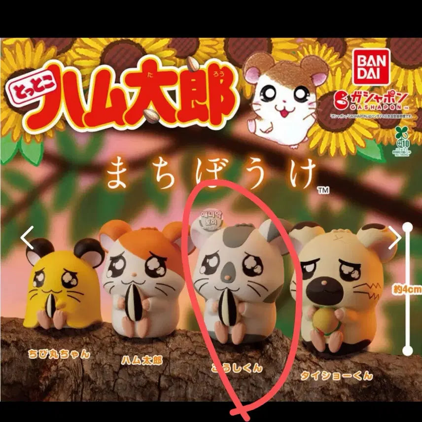 [BUNJANG] Hamtaro Machi Boke Gacha Yam-Yam / 방가방가햄토리 마치보케 가챠 얌얌이