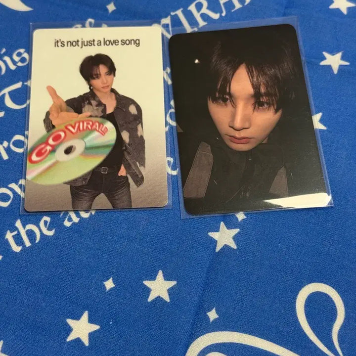 [BUNJANG] BOYNEXTDOOR Taesan Home Showcase Photocard Bundle Set / 태산) 보넥도 홈 쇼케이스 역조공 포카 + 바이럴 포카 일괄