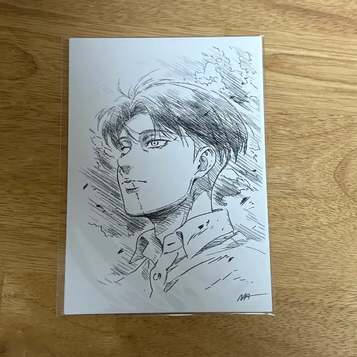 [BUNJANG] Attack on Titan Levi &amp; Hange Special Edition Postcard Set (Unsealed) / 진격의거인 특전 엽서 리바이 한지 미개봉