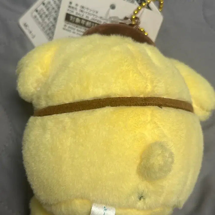 [BUNJANG] Nagano Sanrio Collaboration Pompompurin Mascot / 나가노 산리오 콜라보 폼폼푸린 마스코트
