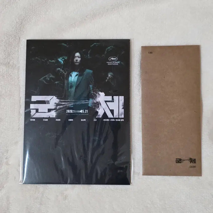 [BUNJANG] Group TTT Accordion Postcard Bundle Set (CGV POB) / [일괄] 군체 TTT + 아코디언 엽서 (CGV 특전)