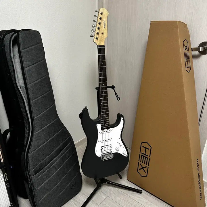 [BUNJANG] HEX E100 Plus Gray Prototype Limited Edition Guitar / 헥스 E100 Plus 그레이 프로토타입 한정판 25년 생산