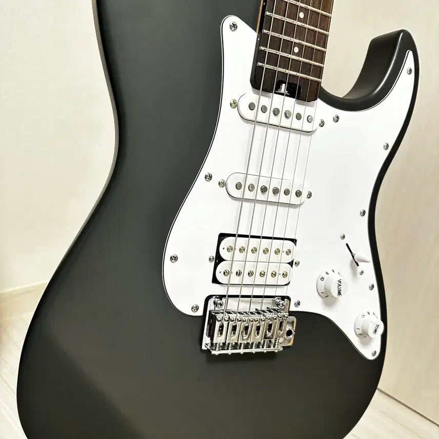 [BUNJANG] HEX E100 Plus Gray Prototype Limited Edition Guitar / 헥스 E100 Plus 그레이 프로토타입 한정판 25년 생산