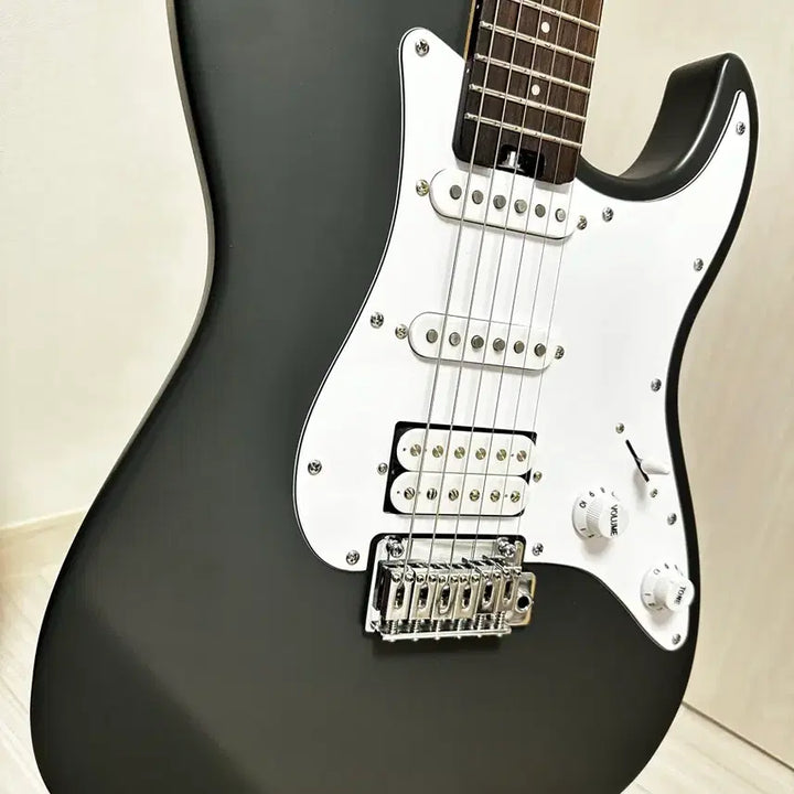 [BUNJANG] HEX E100 Plus Gray Prototype Limited Edition Guitar / 헥스 E100 Plus 그레이 프로토타입 한정판 25년 생산