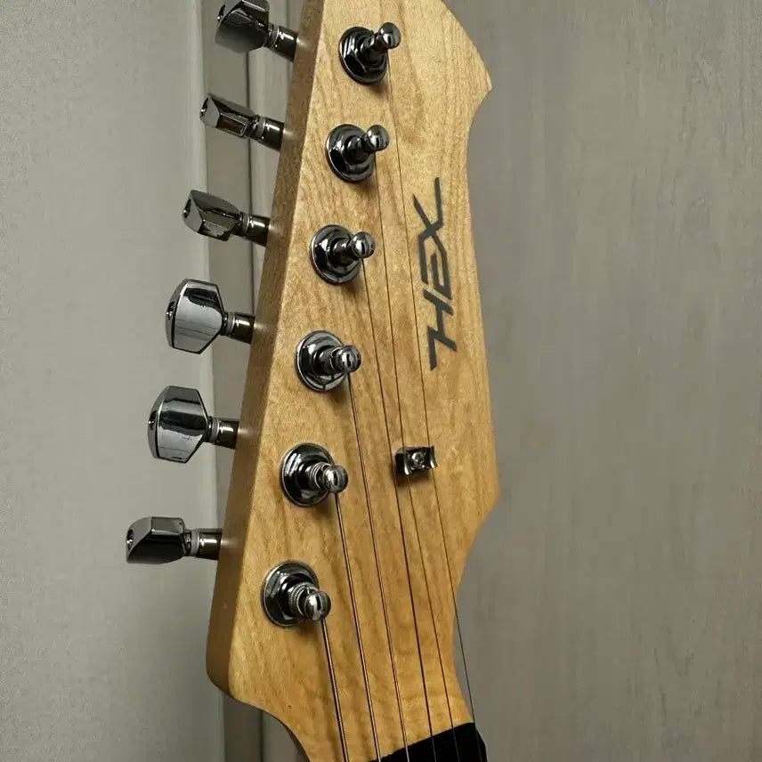 [BUNJANG] HEX E100 Plus Gray Prototype Limited Edition Guitar / 헥스 E100 Plus 그레이 프로토타입 한정판 25년 생산