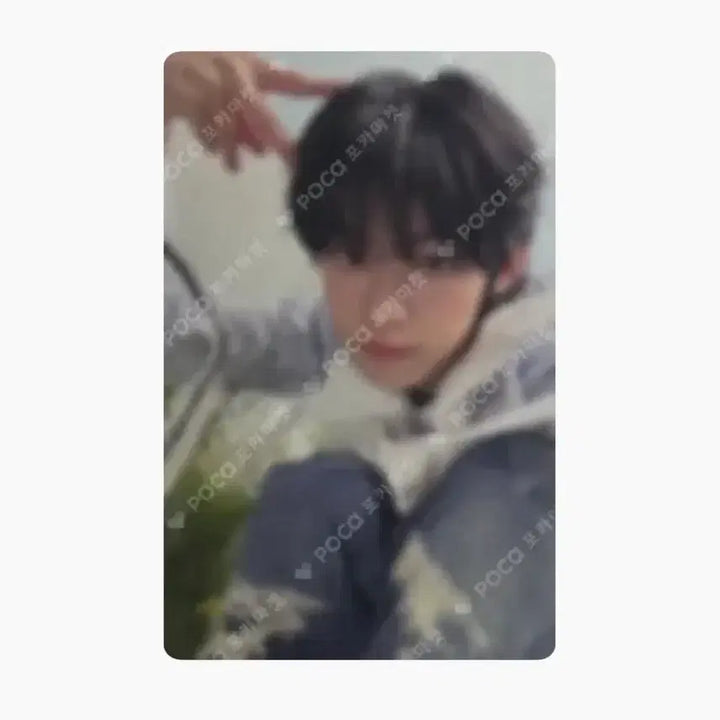 [BUNJANG] SEVENTEEN The Name Chapter: SWEETGHOSTS Jeonghan Jeonghan Photocard Bundle Set / [미개봉] 도훈 지훈 포카+포카홀더+RGB 포카 일괄 투어스 앨범 위버스