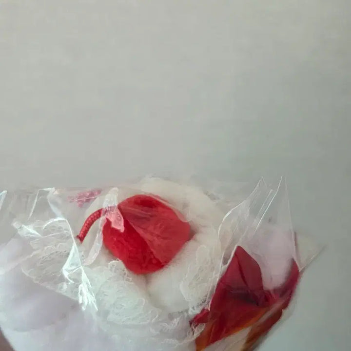 [BUNJANG] Sanrio Cherry Whipped Cream Kitty Mascot / 산리오 휘핑크림 체리 키티 마스코트