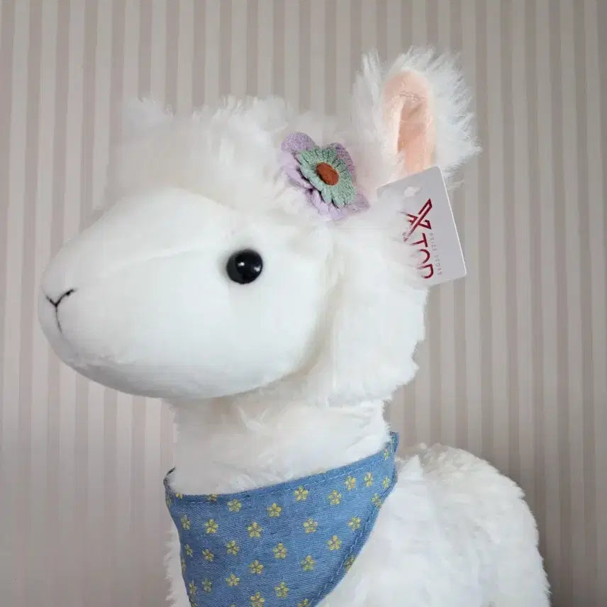 [BUNJANG] Xtop Alpaca Medium Plush Toy 40cm with Flower Scarf / xtop 엑스탑 양 알파카 중형인형 40cm 꽃  스카프 무늬 새상품