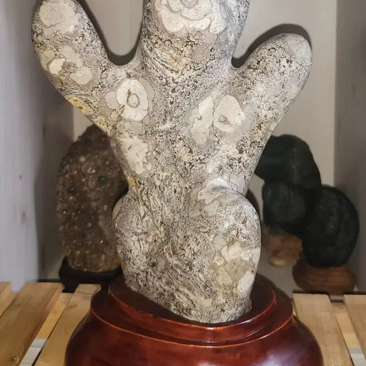 [BUNJANG] Camellia Pattern Cheongsong Flower Stone (Suseok) / 선인장 형태 동백문양 청송꽃돌 수석