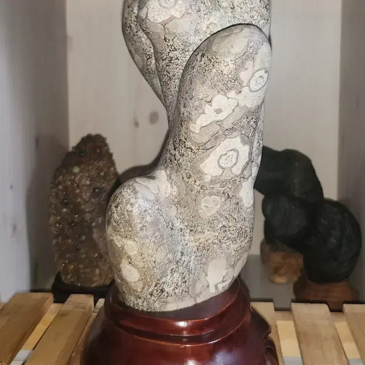 [BUNJANG] Camellia Pattern Cheongsong Flower Stone (Suseok) / 선인장 형태 동백문양 청송꽃돌 수석