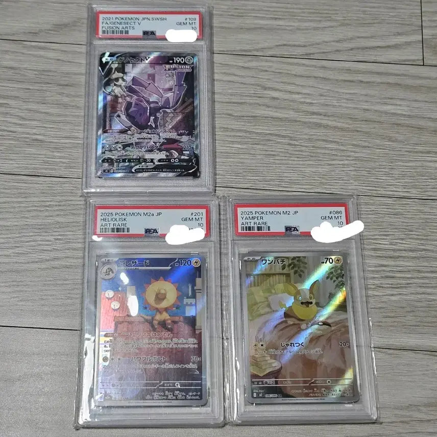 [BUNJANG] Pokemon Card Set - Genosect V, Illadud, Patrat (PSA 10 Graded) / 포켓몬카드 psa10등급 일판 2021 게노세크트, 일레도리자드, 멍파치