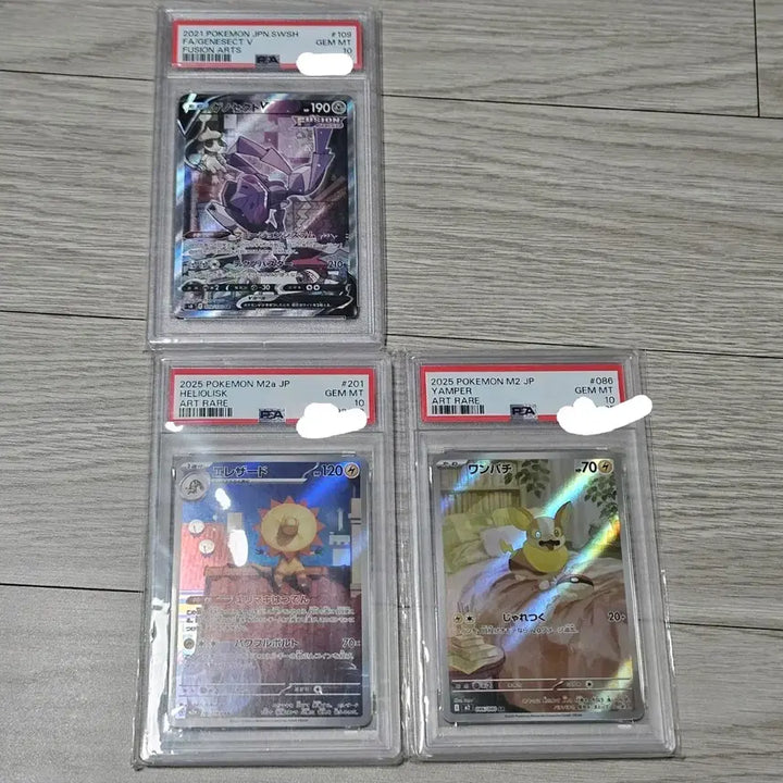[BUNJANG] Pokemon Card Set - Genosect V, Illadud, Patrat (PSA 10 Graded) / 포켓몬카드 psa10등급 일판 2025 일레도리자드ar