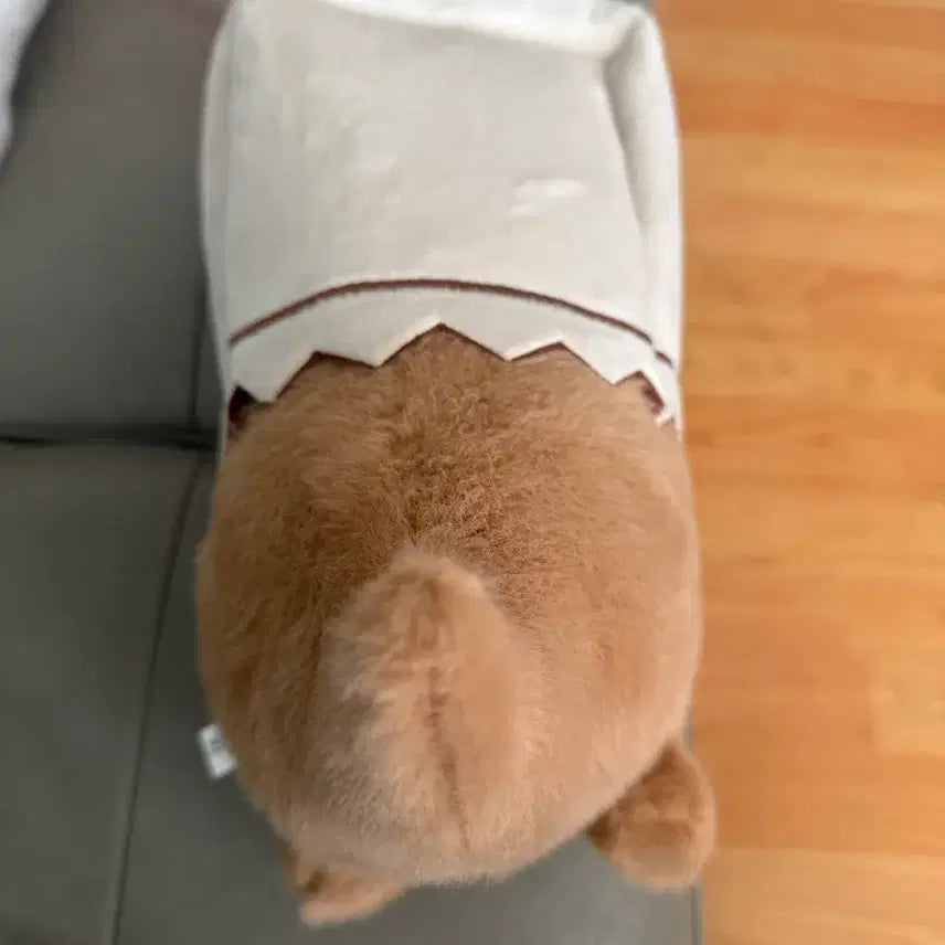 [BUNJANG] Otter Plush Toy / 수달인형