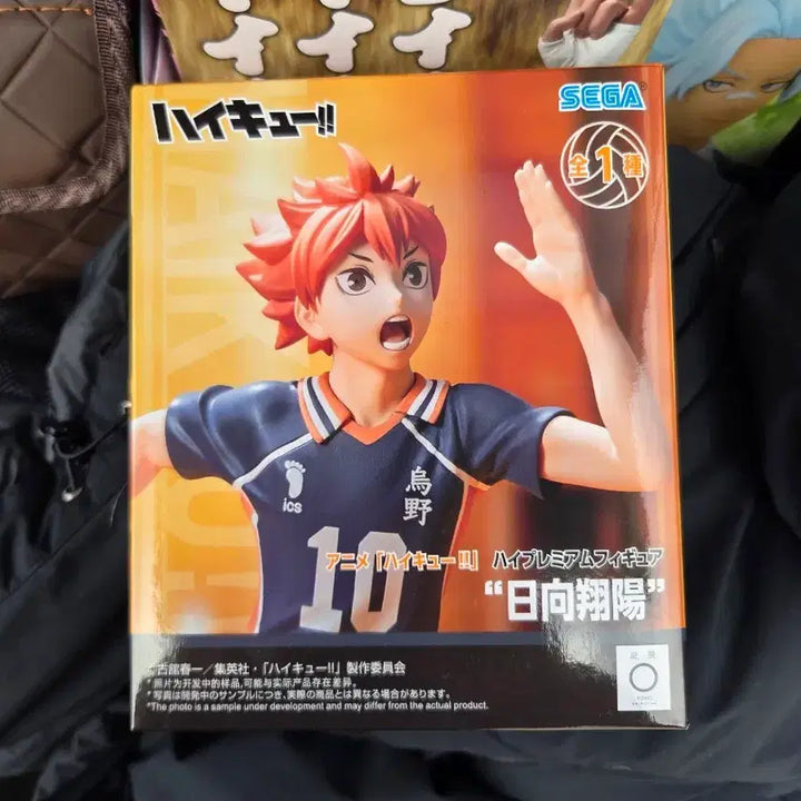 [BUNJANG] Sega Haikyuu!! Hinata Shoyo Figure (Sealed) / (미개봉)세가 하이큐 히나타