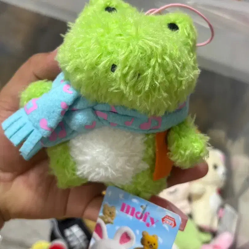 [BUNJANG] Moppi and Friends Frog Plush / 모피와 친구들 개구리 인형